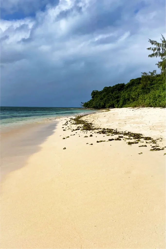 best great barrier reef tours