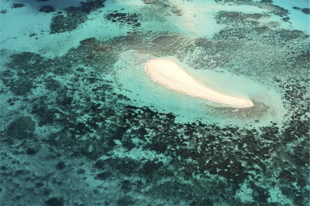 great barrier reef tour