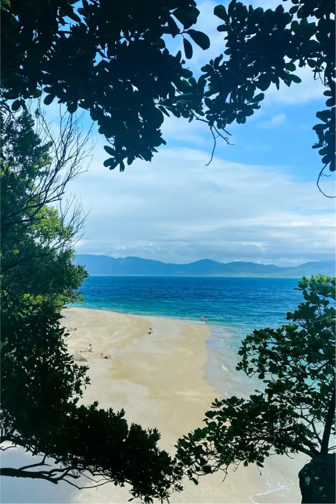 great barrier reef tour from cairns