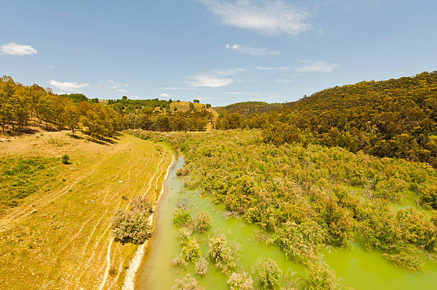 Discover Mudgee: A Wine Lover’s Paradise in Australia | Travel Review