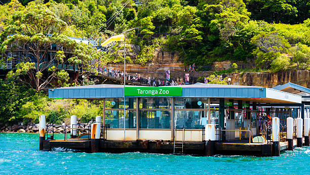 Unveiling the Wonders of Taronga Zoo: A Wild Australian Adventure