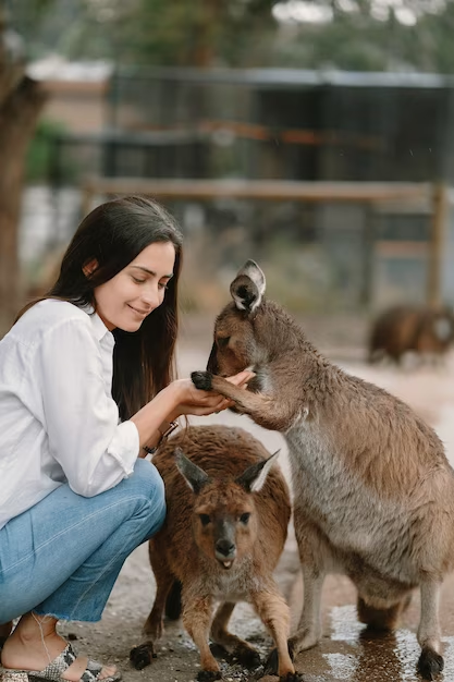 Discover Kangaroo Island: An Enchanting Australian Adventure
