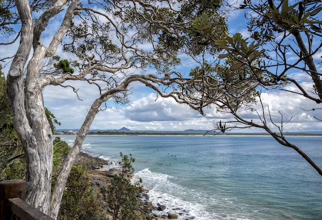 Explore Byron Bay: A Blissful Coastal Paradise for Travelers