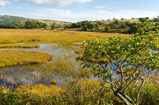 Cleland Conservation Park Review: Discover the Beauty of South Australia’s Wilderness