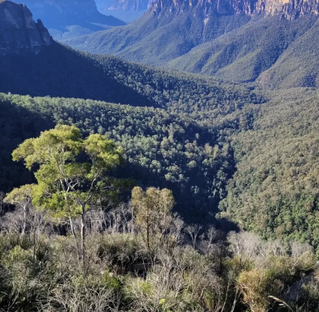 Govetts Leap