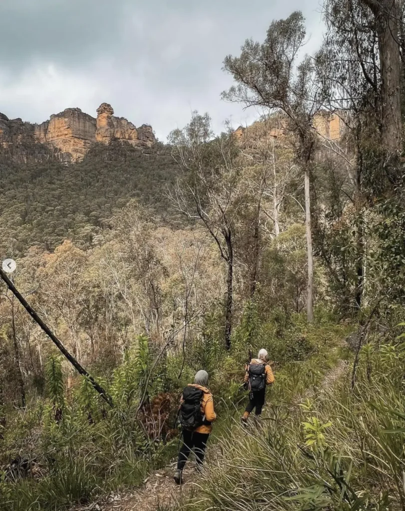 blue mountains hiking trails