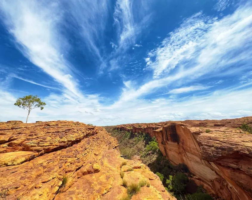 Watarrka National Park tour