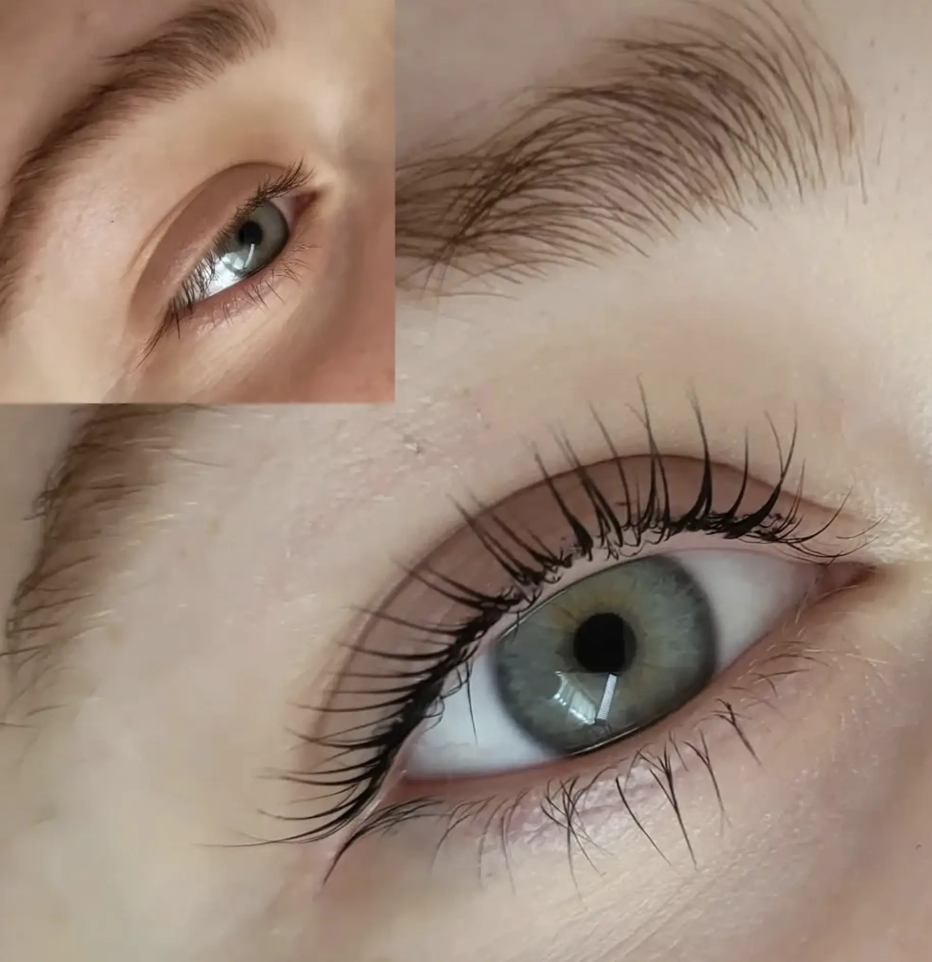 best lash lift Brisbane