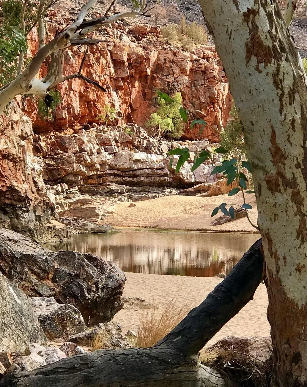 Ormiston Gorge