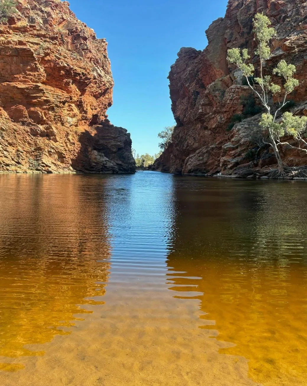 Which Gorges or Waterholes Are Safe to Swim in on a West Macs Tour?